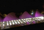 EFFETTO NOTTE ROSA - successo per la notte rosa castelfranchese 2011: a migliaia le persone per le strade, i portici, i negozi, ristoranti e bar aperti tutta la notte nel centro storico del capoluogo foto 