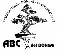 A.B.C. DEL BONSAI